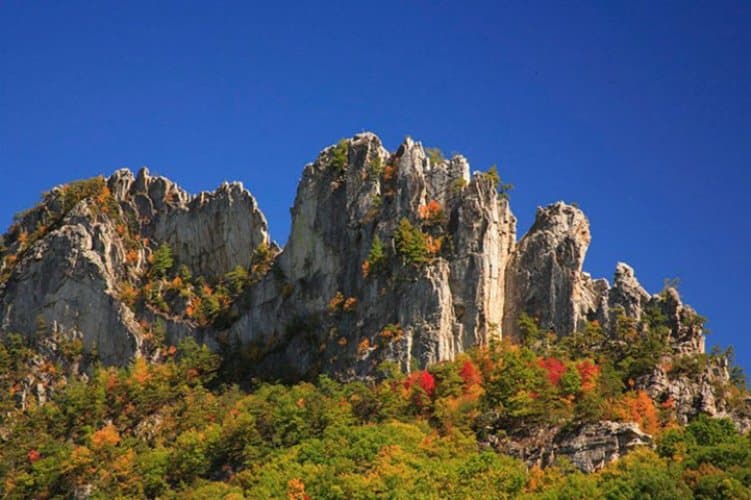 Open mountain meadow near Davis, West Virginia
