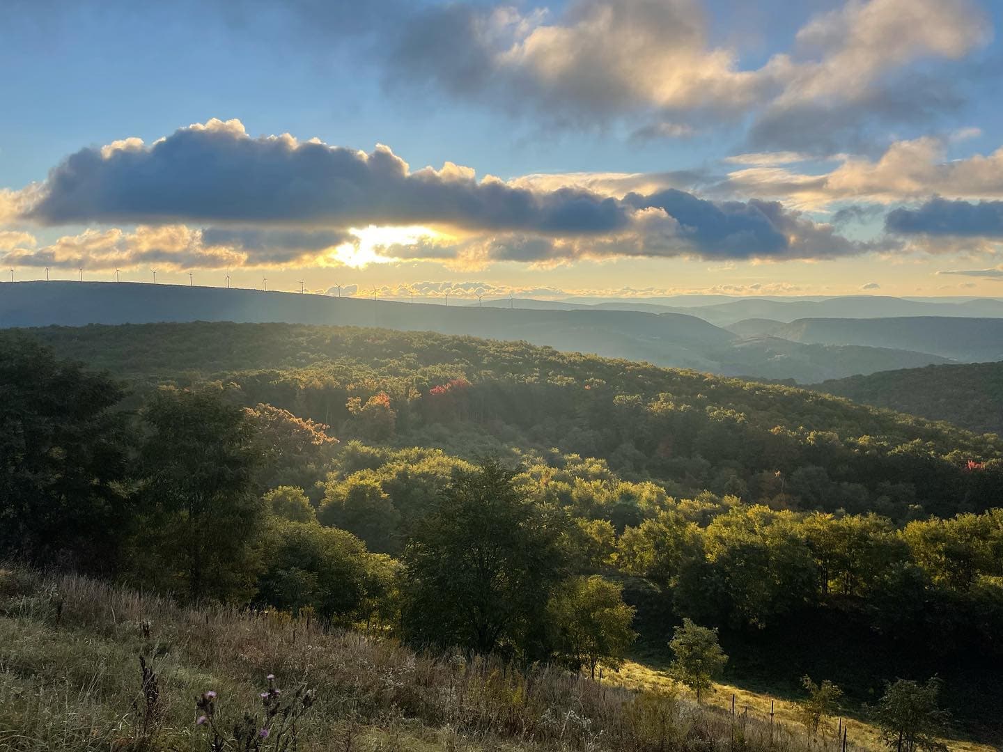 Mountain landscape near Alpine Lodge in Davis, West Virginia
