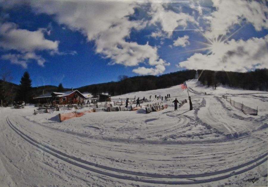 Cross-country ski trails at White Grass Ski Touring Center in West Virginia